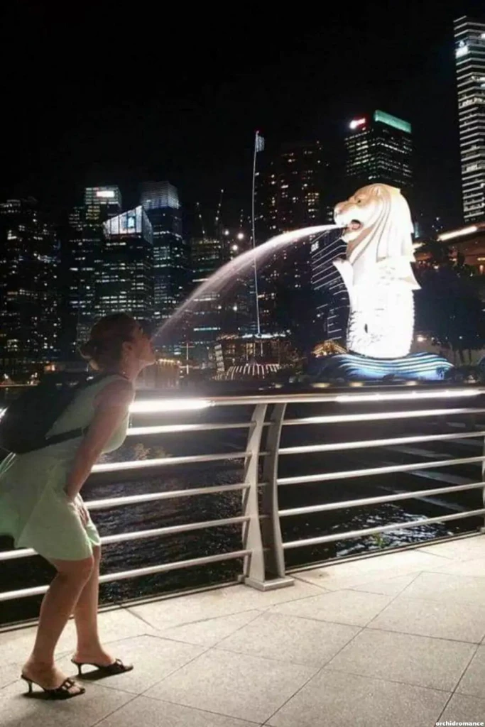 Barco Profile image 2